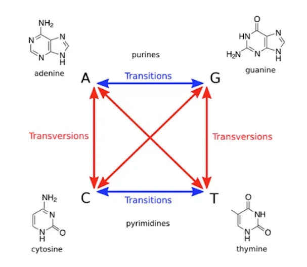human-genome-scoring